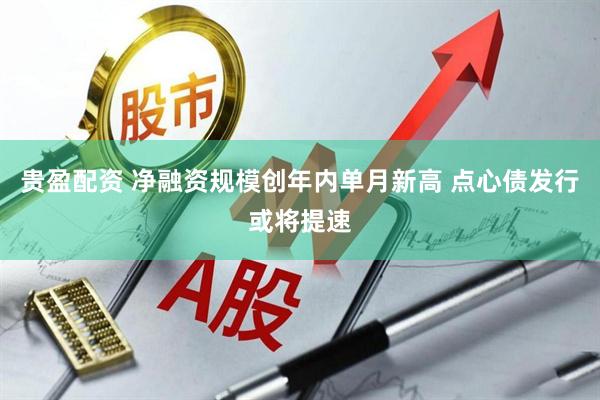 贵盈配资 净融资规模创年内单月新高 点心债发行或将提速