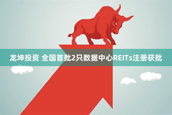 龙坤投资 全国首批2只数据中心REITs注册获批