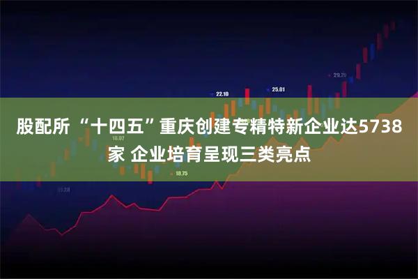 股配所 “十四五”重庆创建专精特新企业达5738家 企业培育呈现三类亮点