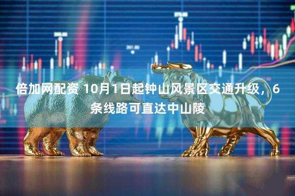 倍加网配资 10月1日起钟山风景区交通升级，6条线路可直达中山陵