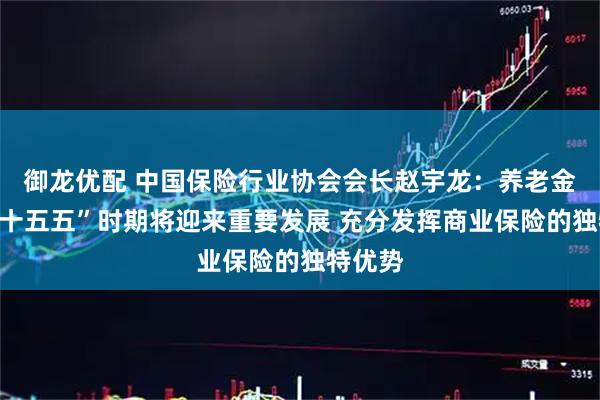 御龙优配 中国保险行业协会会长赵宇龙：养老金融在“十五五”时期将迎来重要发展 充分发挥商业保险的独特优势