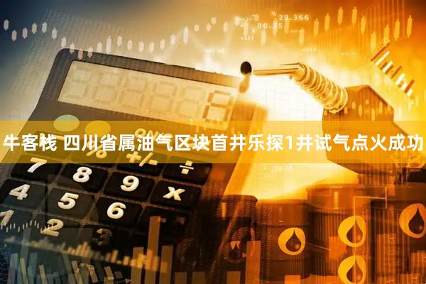 牛客栈 四川省属油气区块首井乐探1井试气点火成功
