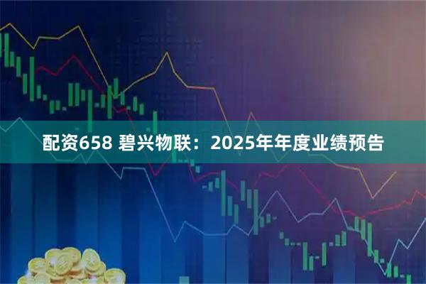 配资658 碧兴物联：2025年年度业绩预告
