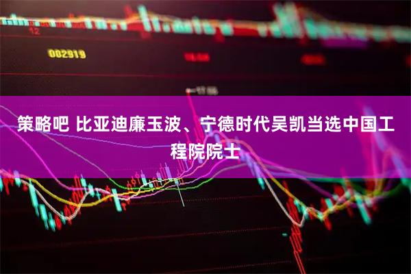 策略吧 比亚迪廉玉波、宁德时代吴凯当选中国工程院院士