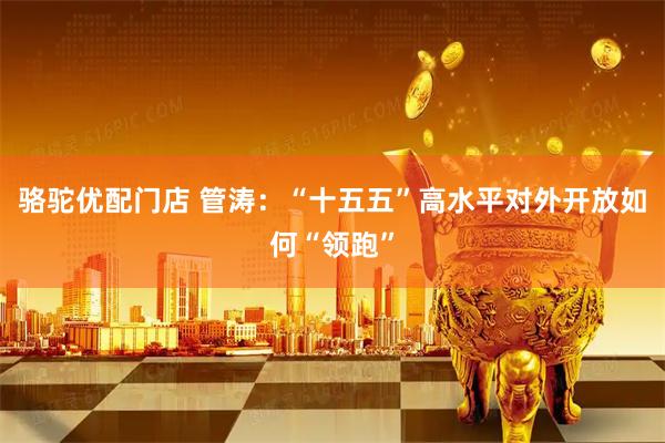 骆驼优配门店 管涛：“十五五”高水平对外开放如何“领跑”