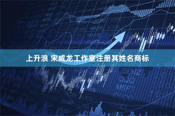 上升浪 宋威龙工作室注册其姓名商标