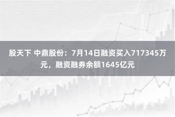 股天下 中鼎股份：7月14日融资买入717345万元，融资融券余额1645亿元