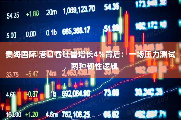 贵海国际 港口吞吐量增长4%背后：一场压力测试，两种韧性逻辑