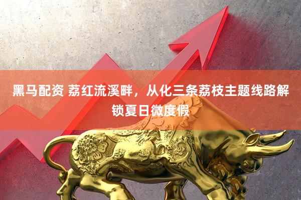 黑马配资 荔红流溪畔，从化三条荔枝主题线路解锁夏日微度假
